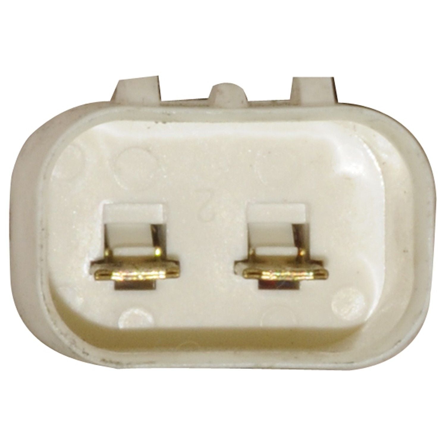 Continental Power Window Motor and Regulator Assembly WL41813