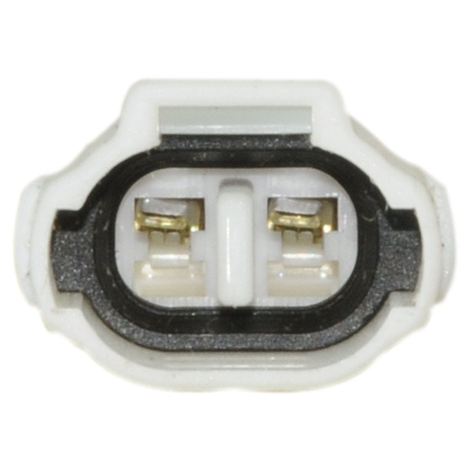 Continental Power Window Motor and Regulator Assembly WL44096