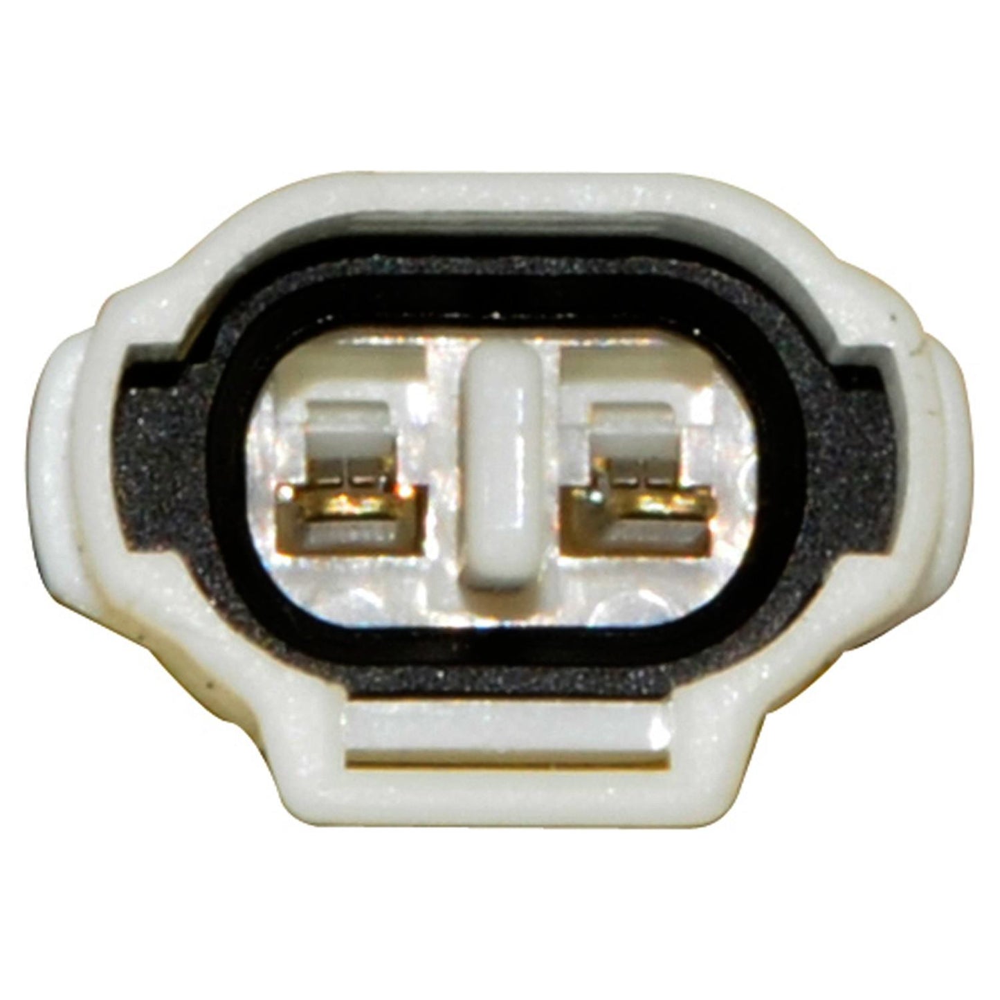 Continental Power Window Motor and Regulator Assembly WL44097