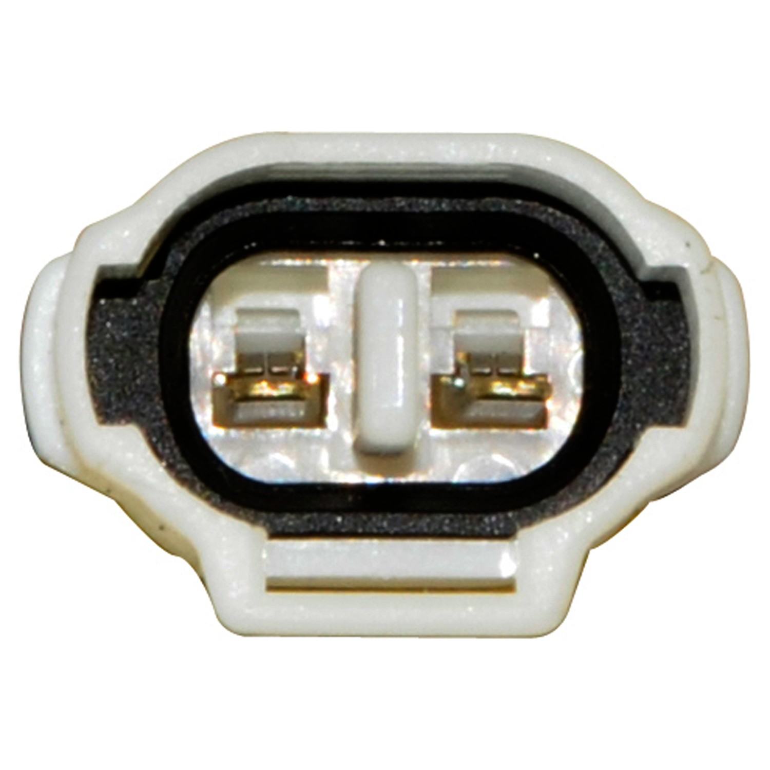 Continental Power Window Motor and Regulator Assembly WL44097