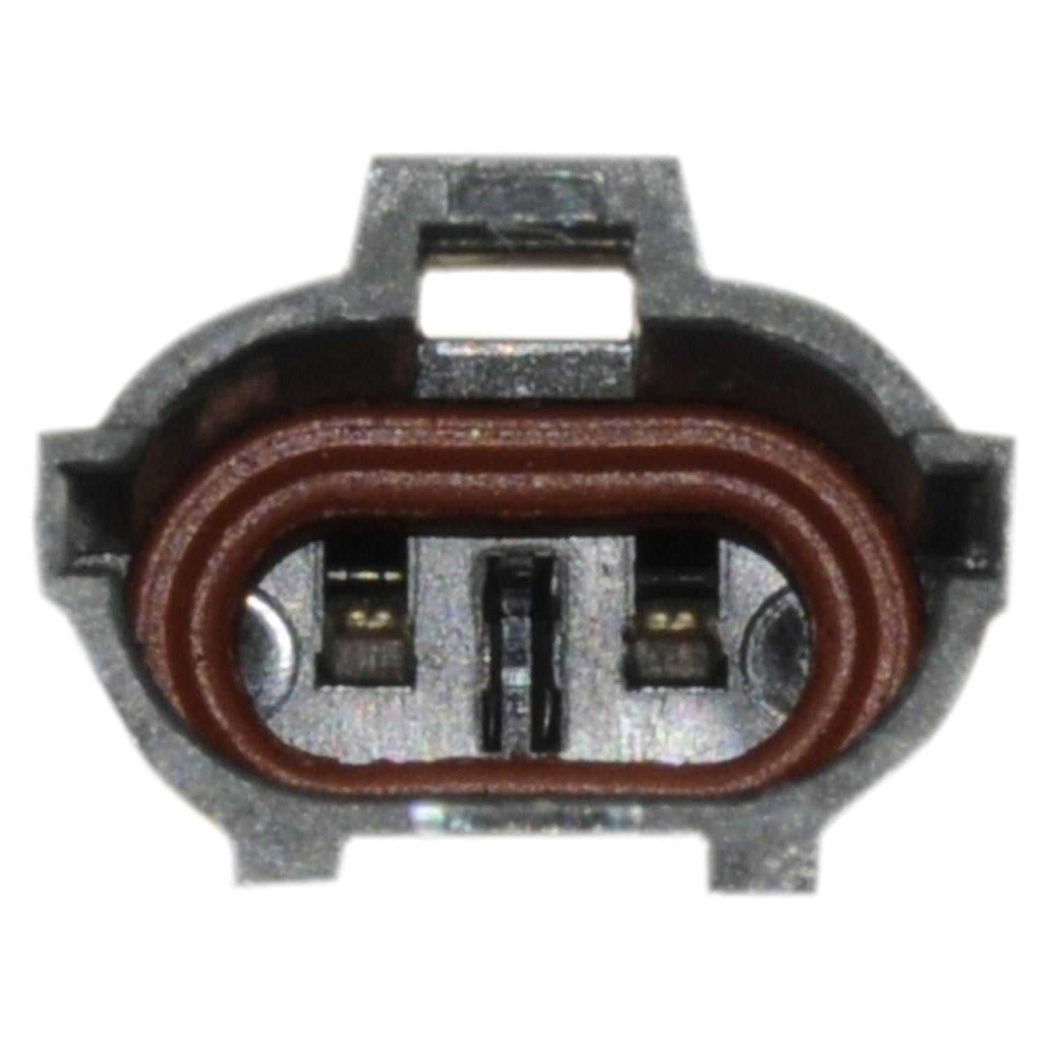 Continental Power Window Motor and Regulator Assembly WL44119