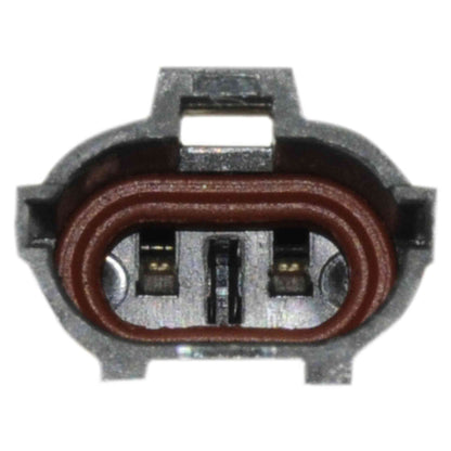 Continental Power Window Motor and Regulator Assembly WL44119