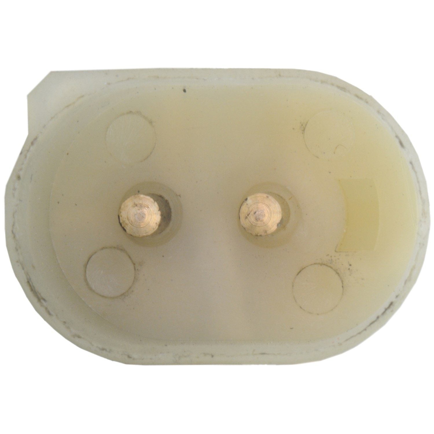 Continental Power Window Motor and Regulator Assembly WL44231