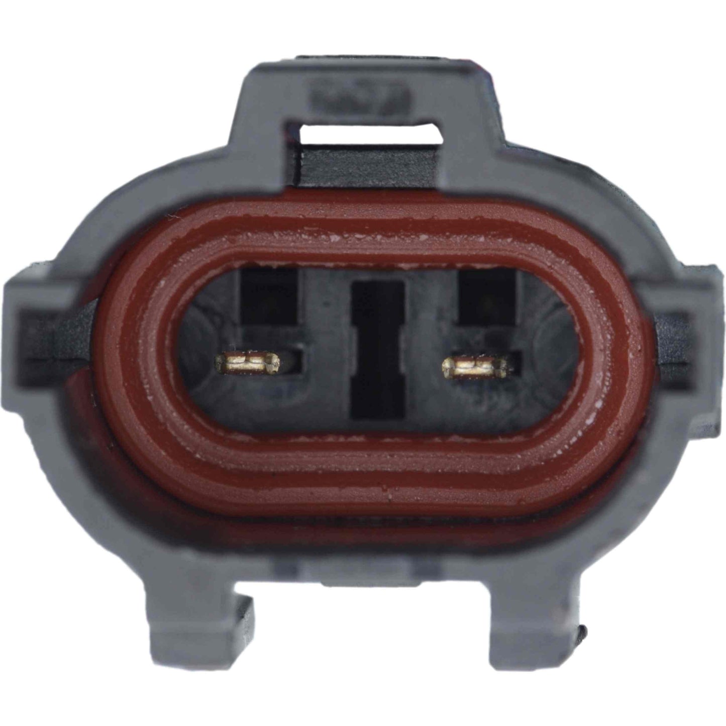 Continental Power Window Motor and Regulator Assembly WL48191