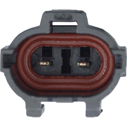 Continental Power Window Motor and Regulator Assembly WL48191
