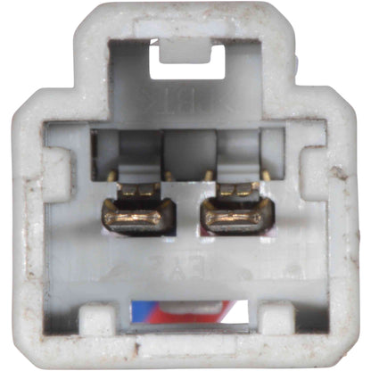 Continental Power Window Motor and Regulator Assembly WL49621