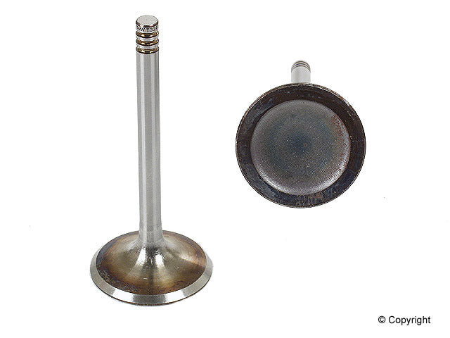 TRW Engine Intake Valve