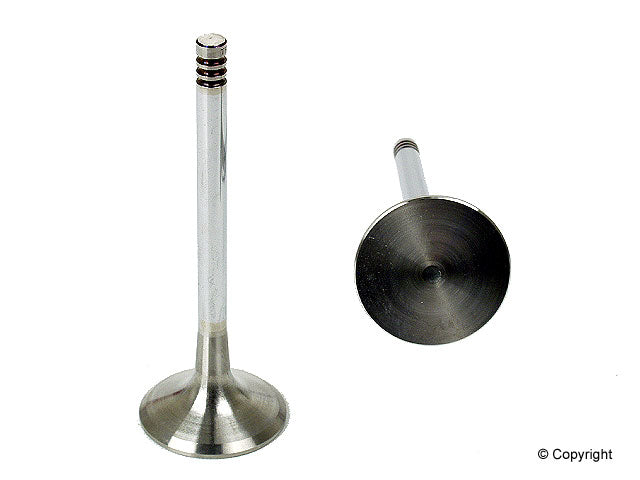TRW Wheel Seal