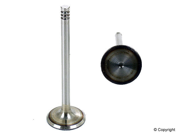 TRW Engine Intake Valve