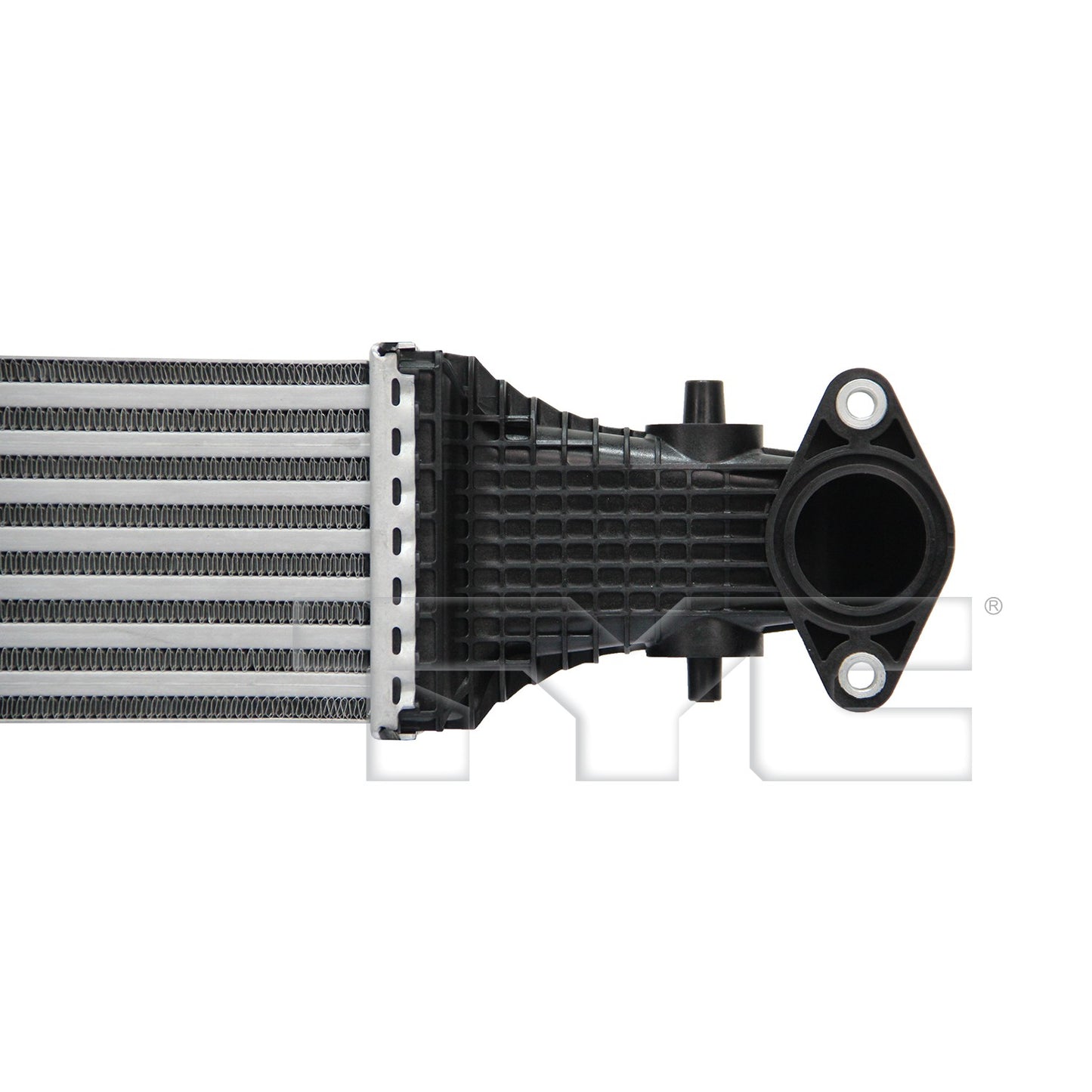 TYC 18143 image 4