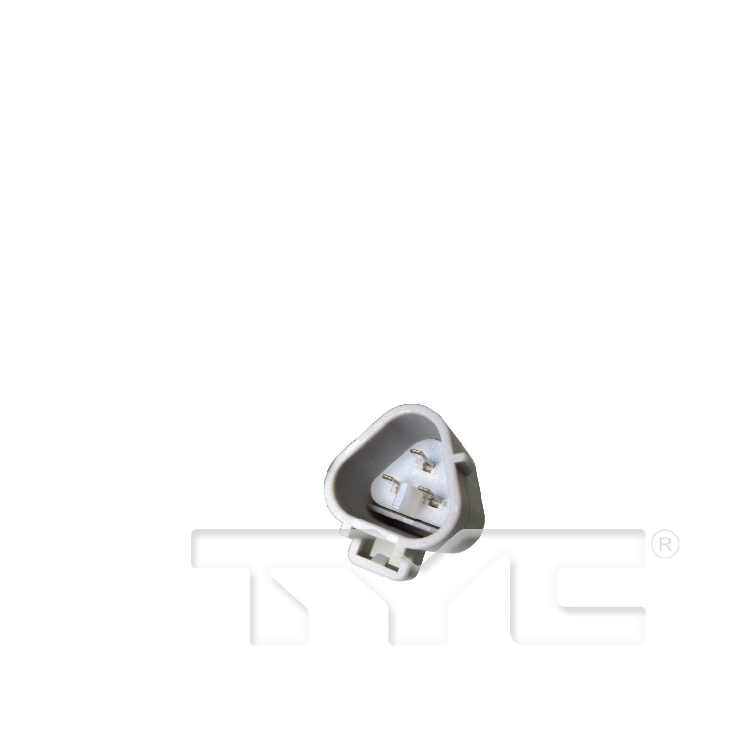 TYC 20080 image 2