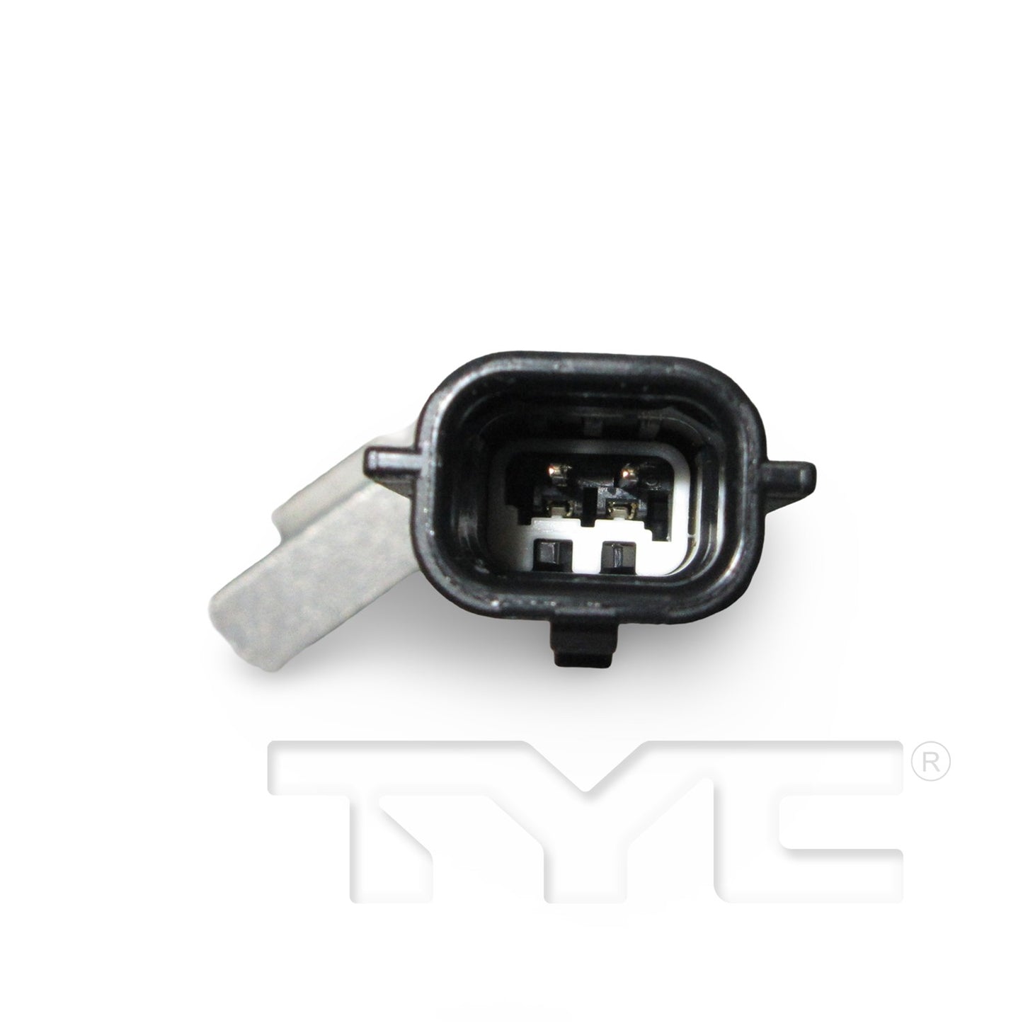 TYC 20091 image 2
