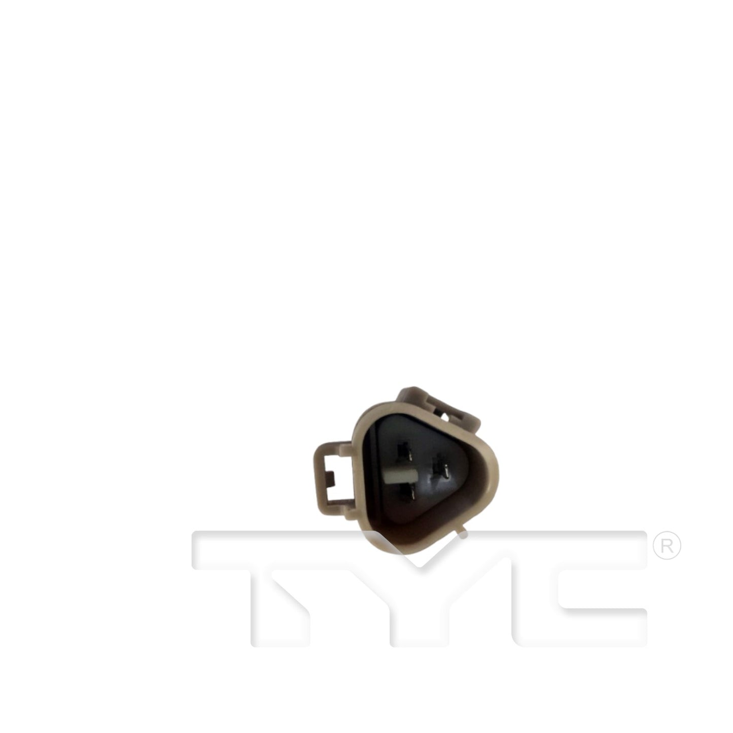 TYC 20271 image 5
