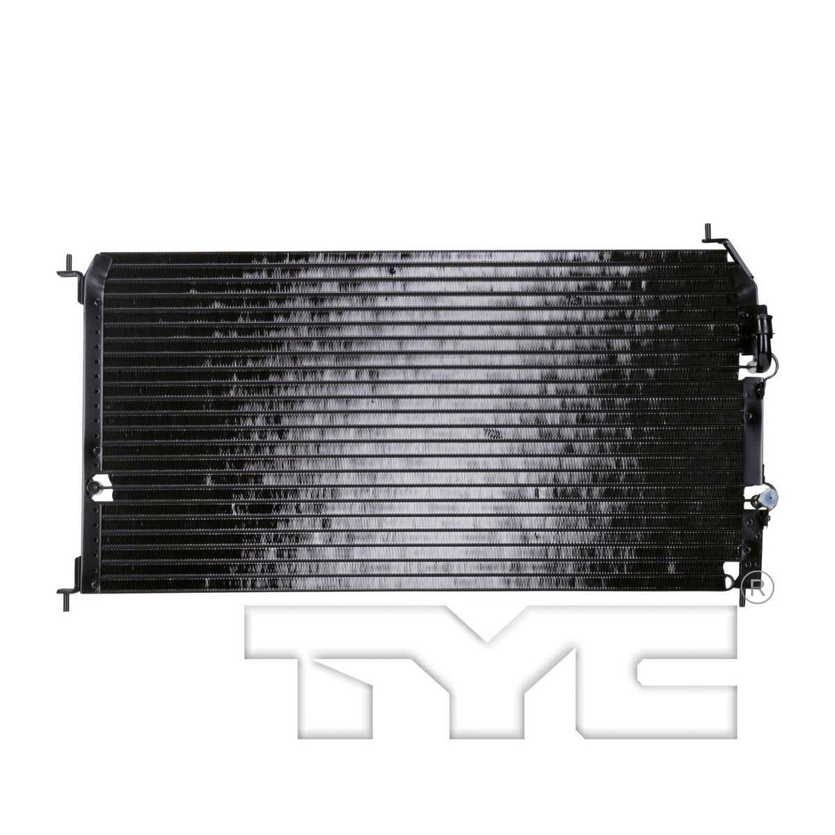 TYC 3003