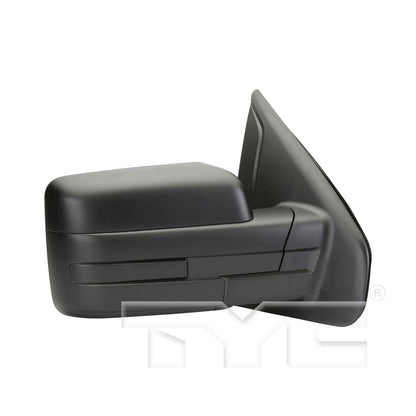 TYC Door Mirror 3030411