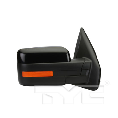 TYC Door Mirror 3030631