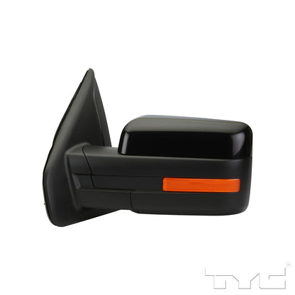 TYC Door Mirror 3030632