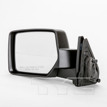 TYC Door Mirror 4160012