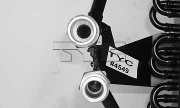 TYC 4549 image 2