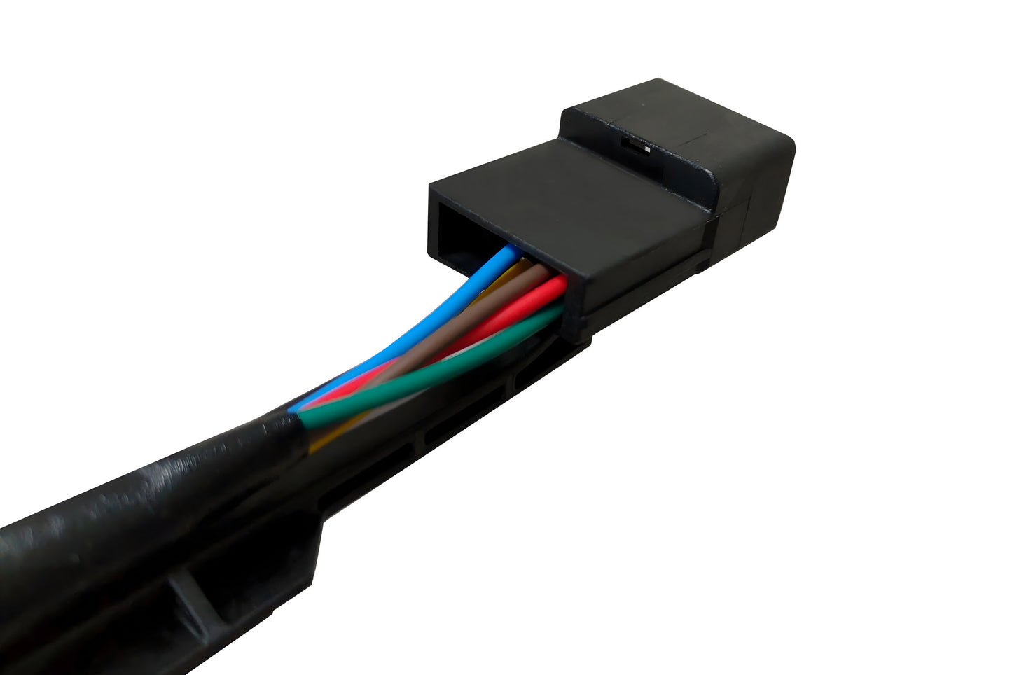 TYC 5380392 image 3