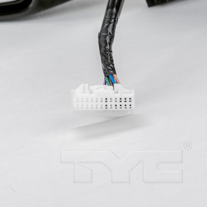 TYC Door Mirror 5780742