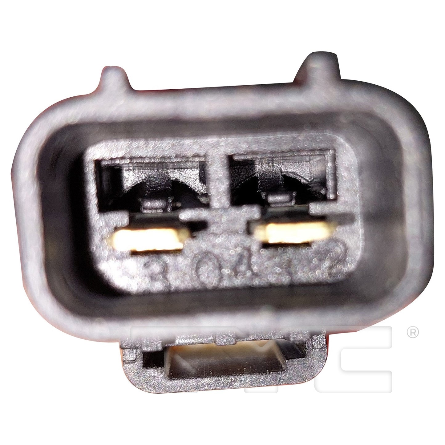 TYC 601650 image 2