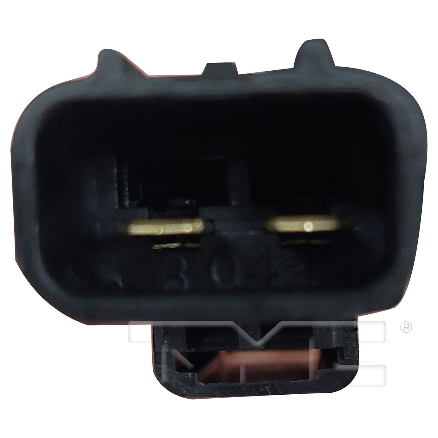TYC 601660 image 2