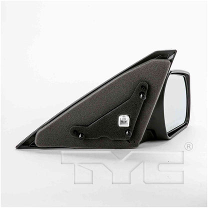 TYC Door Mirror 6100031