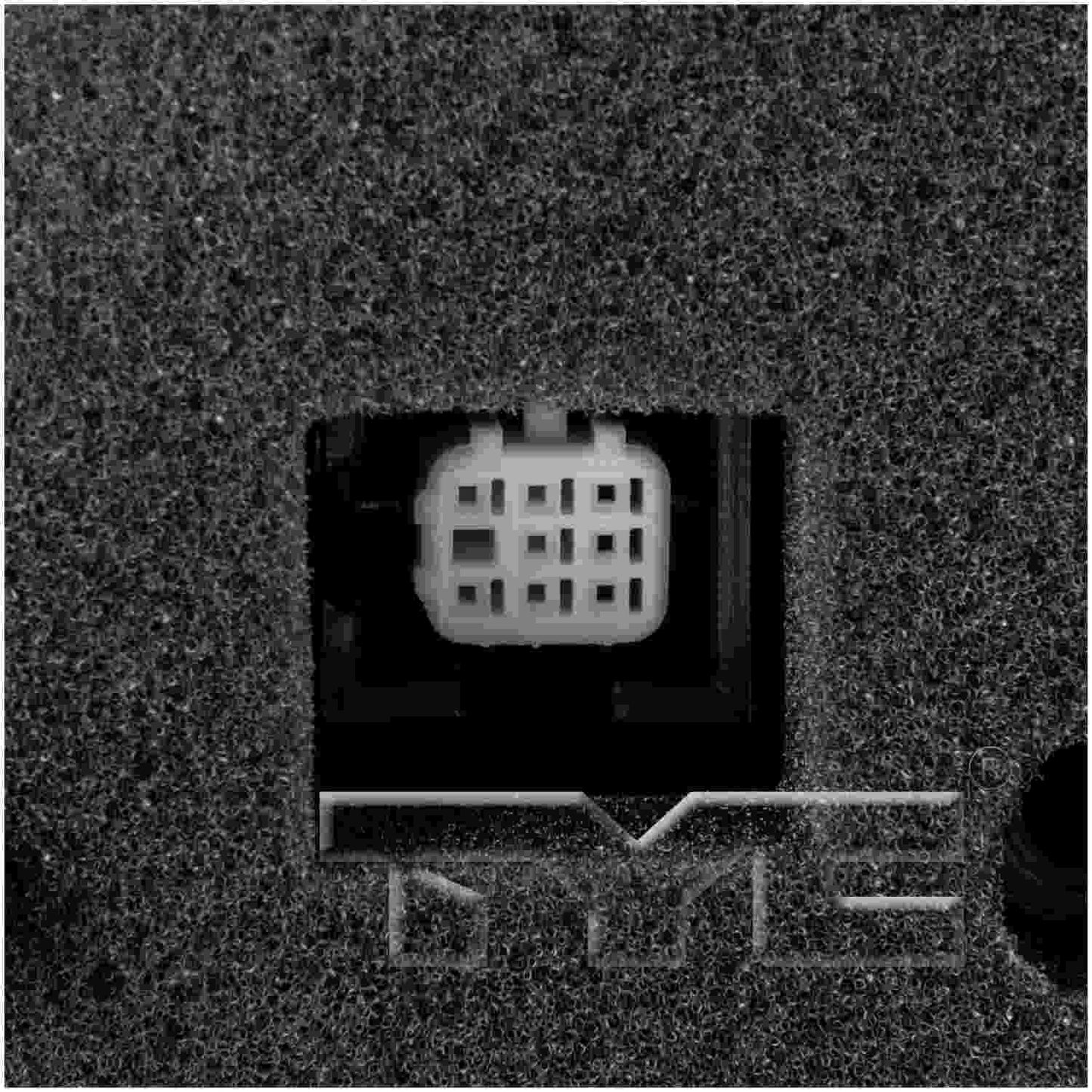 TYC Door Mirror 6100131