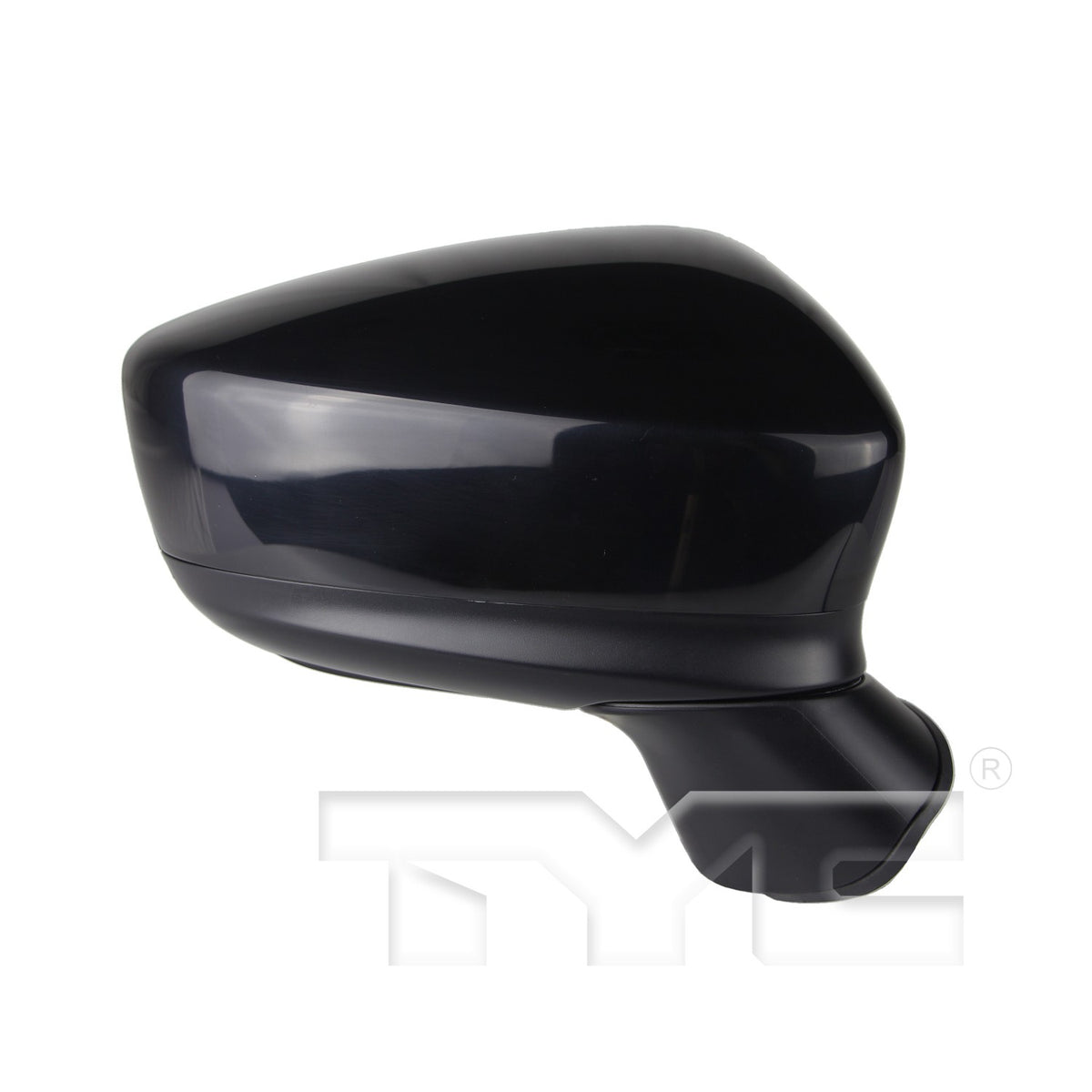 TYC Door Mirror 6100431