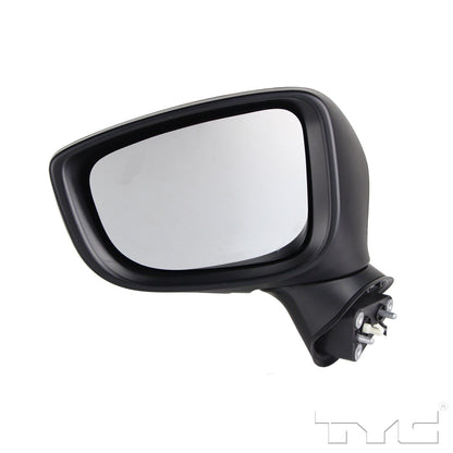 TYC Door Mirror 6100432