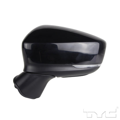 TYC Door Mirror 6100452