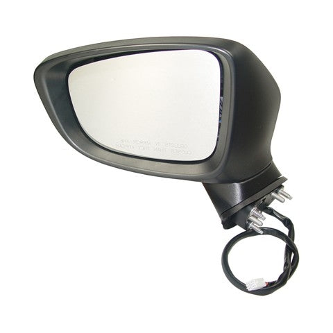 TYC Door Mirror 6110332