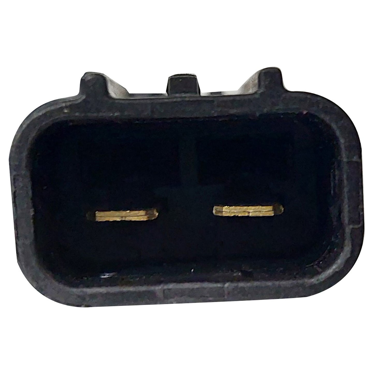 TYC 611660 image 2