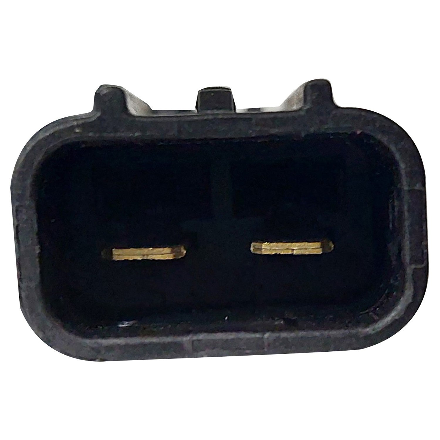 TYC 611660 image 2