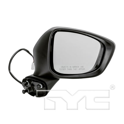 TYC Door Mirror 6120041