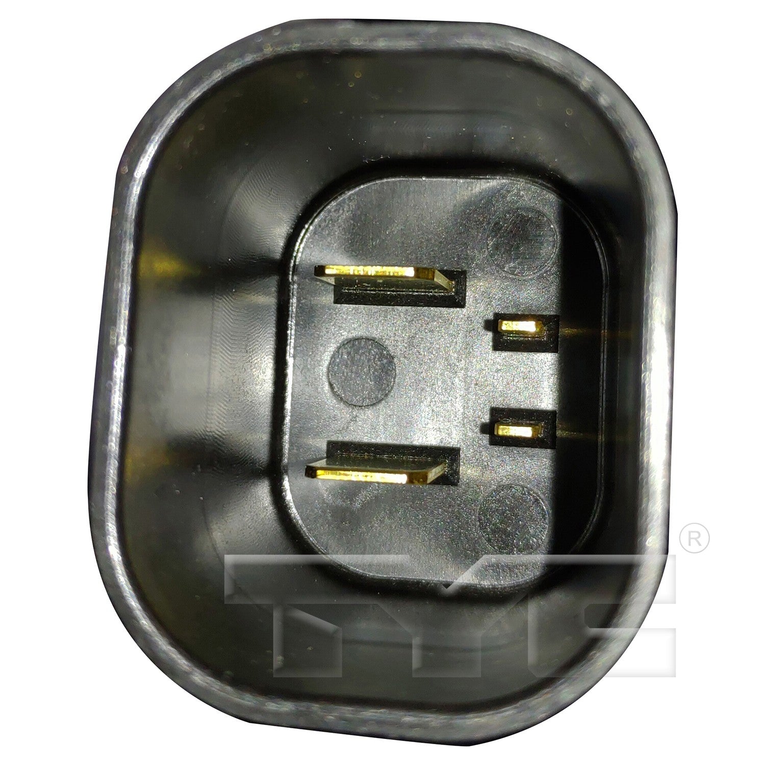 TYC 624680 image 2