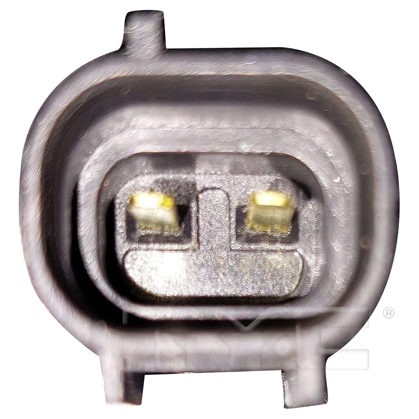 TYC 625300 image 2
