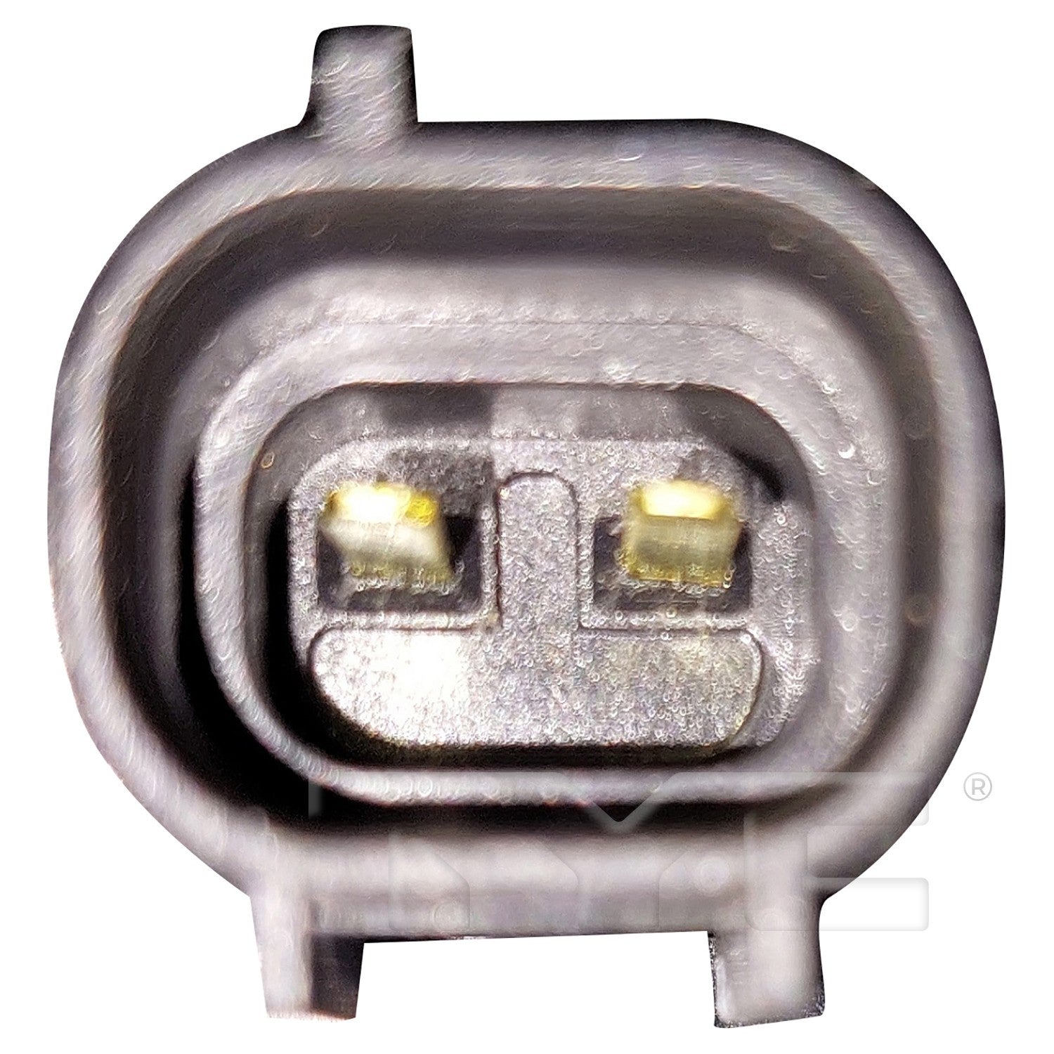 TYC 625300 image 2