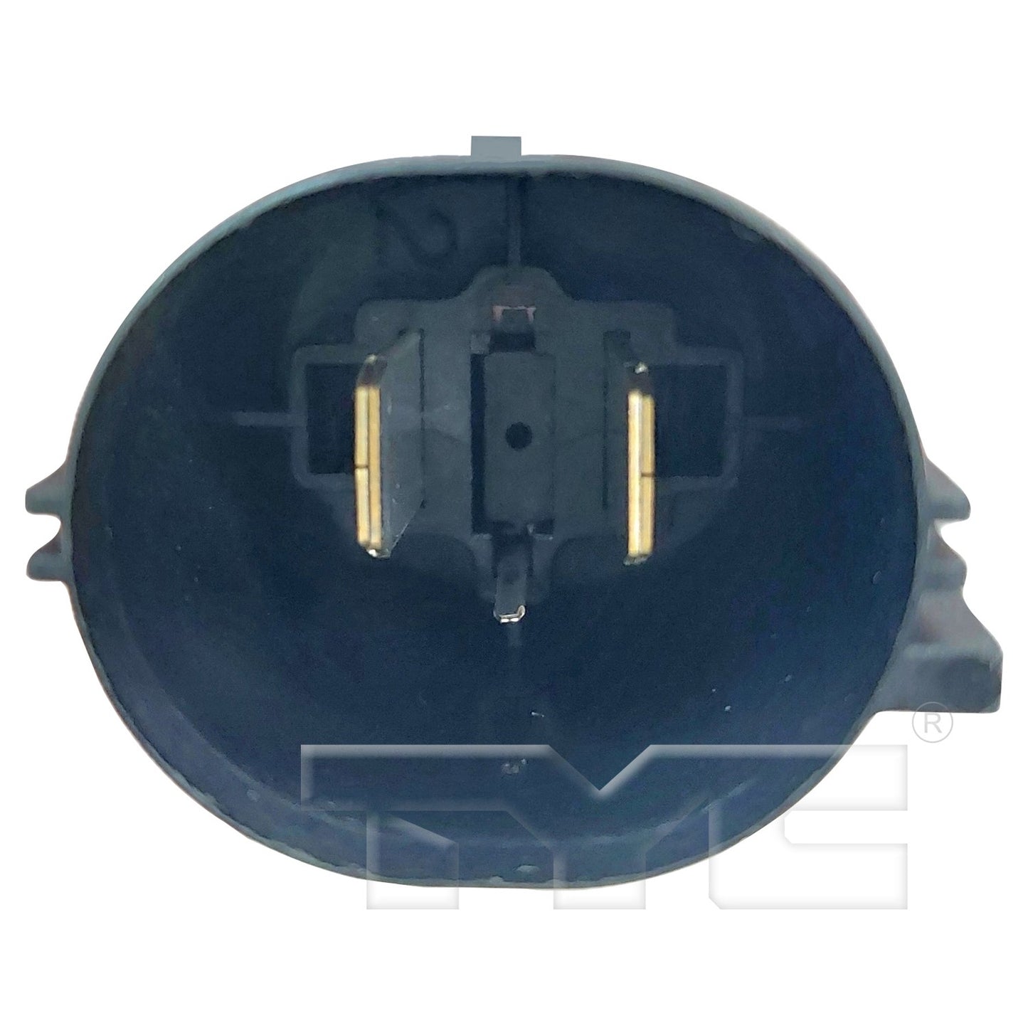 TYC 625440 image 2