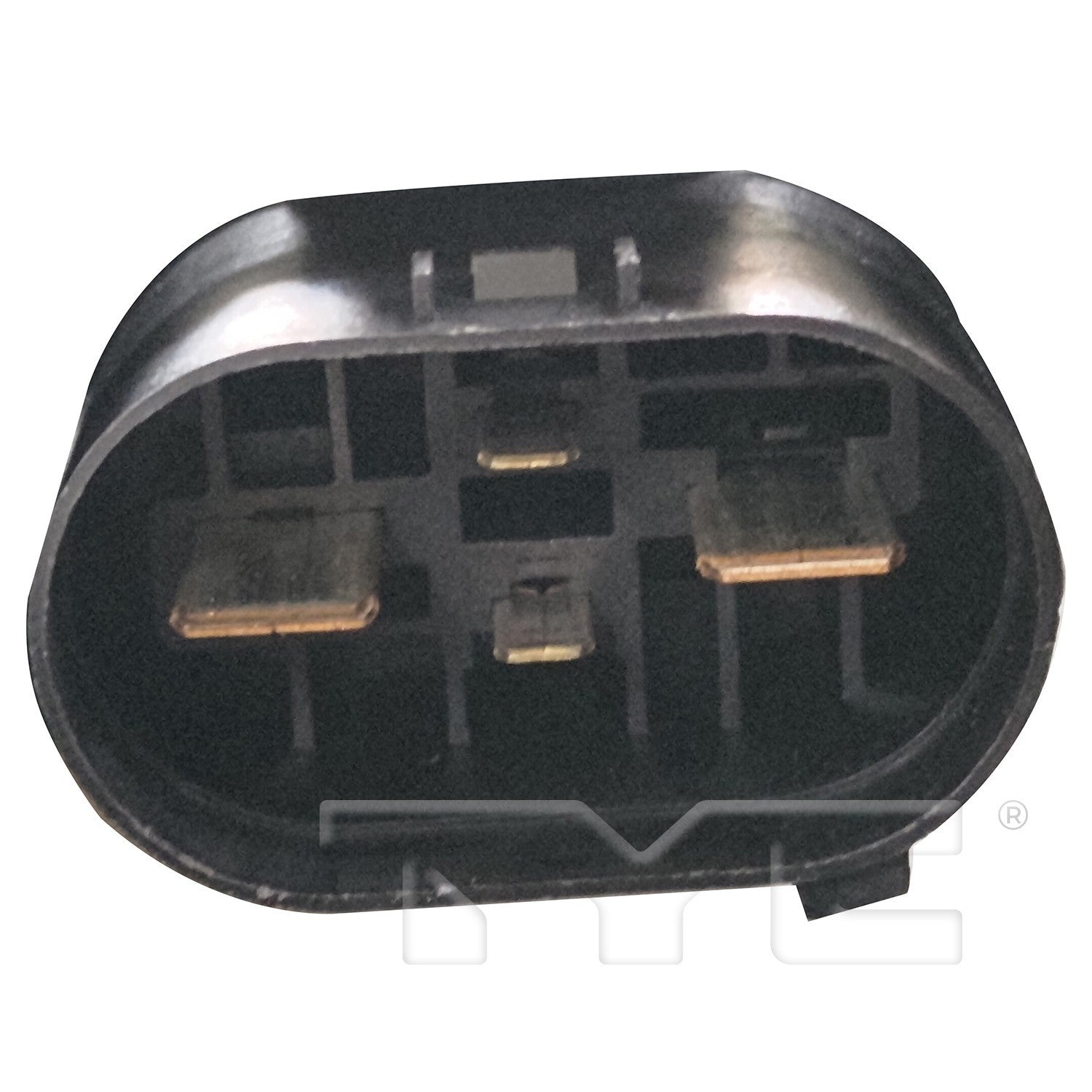 TYC 625510 image 2