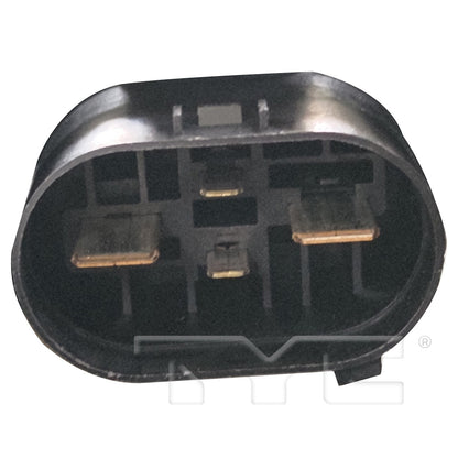 TYC 625510 image 2