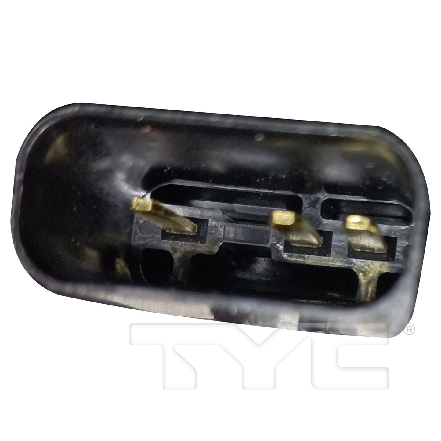 TYC 625520 image 2
