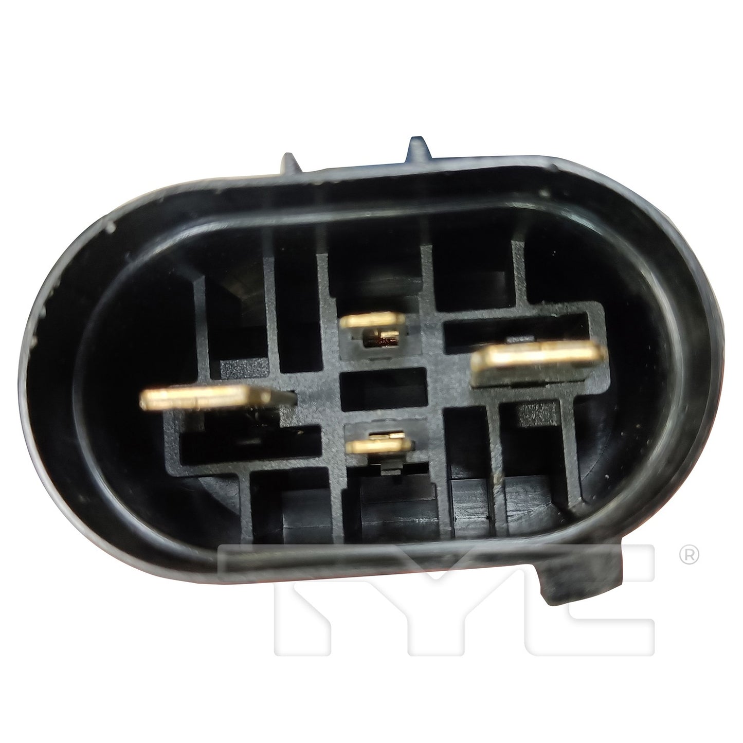 TYC 625540 image 2