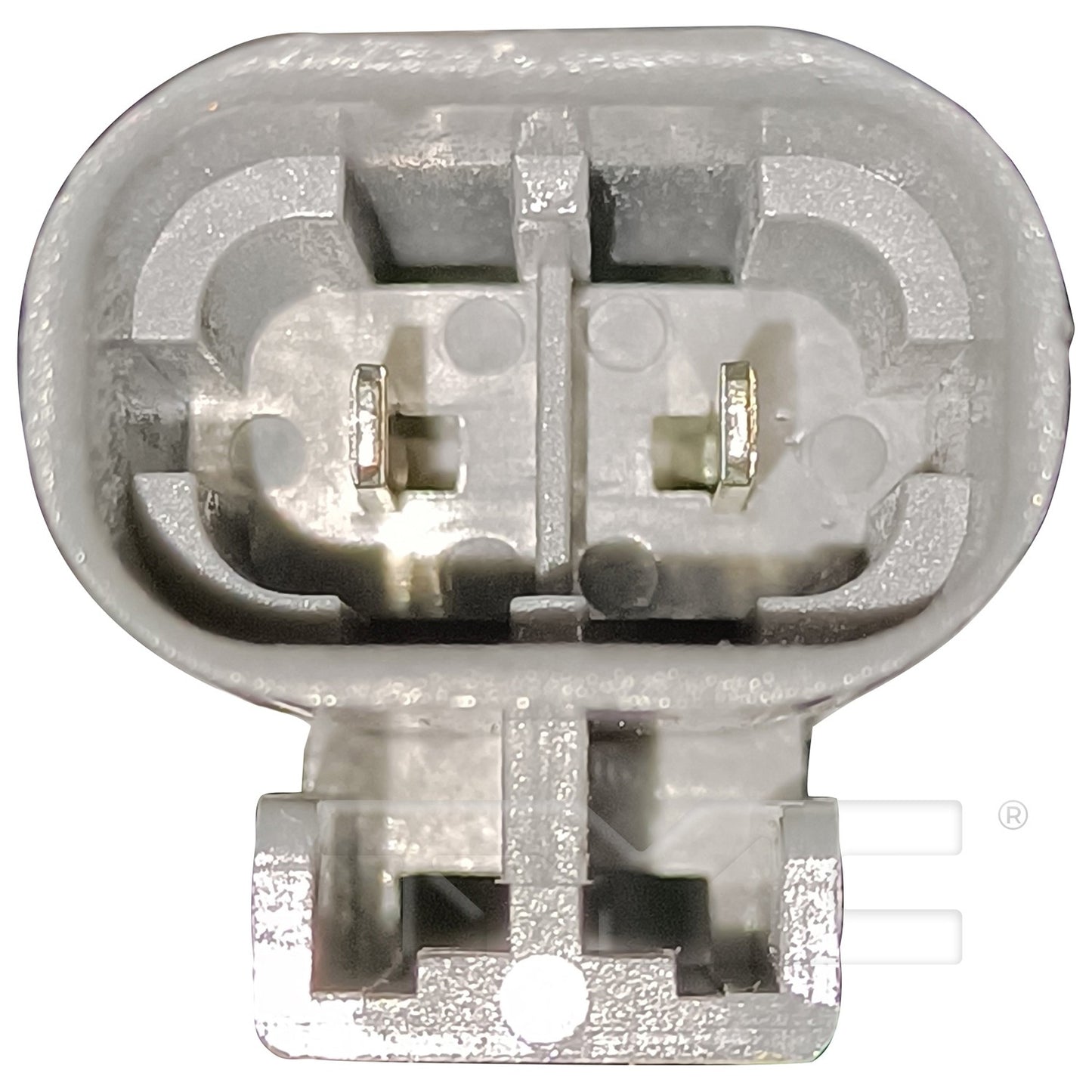 TYC 625560 image 2