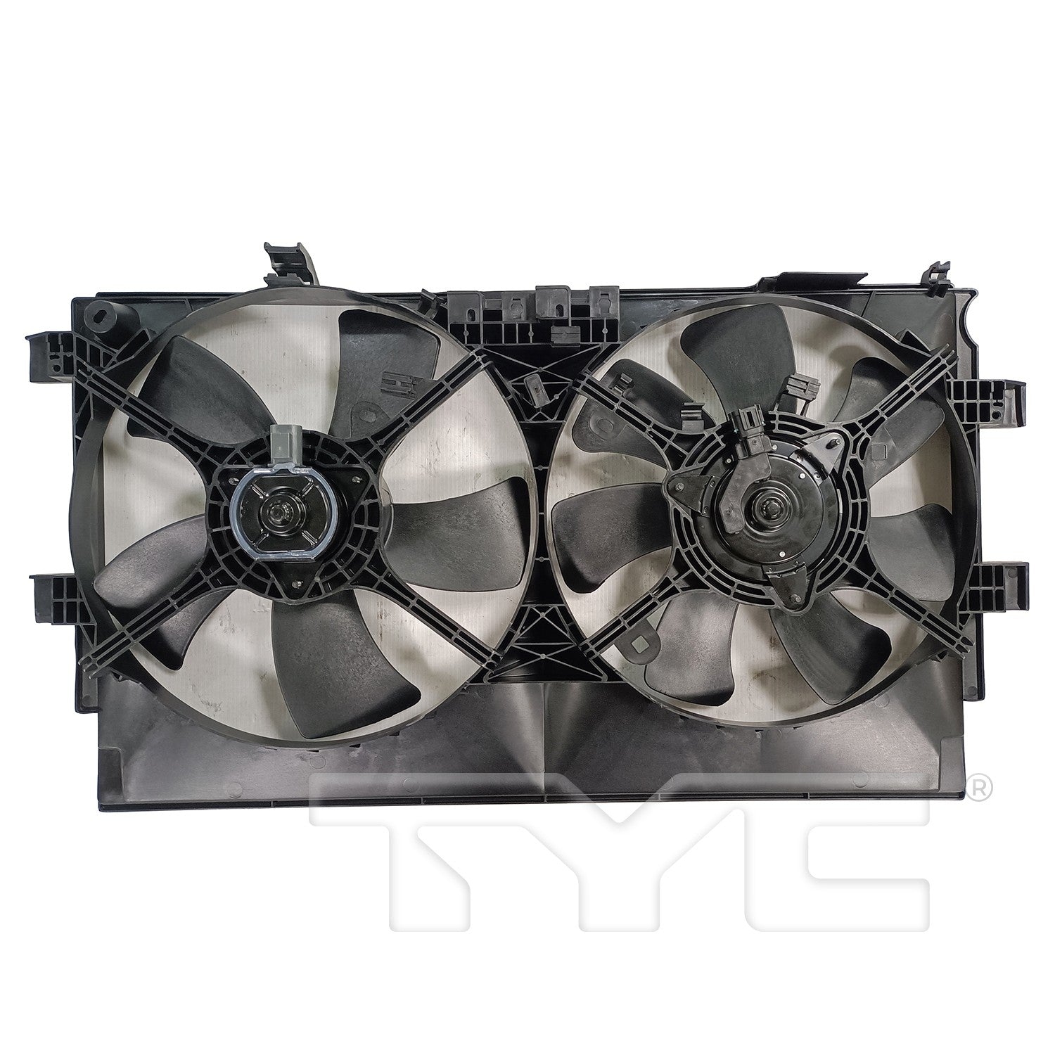 TYC 625560 image 4