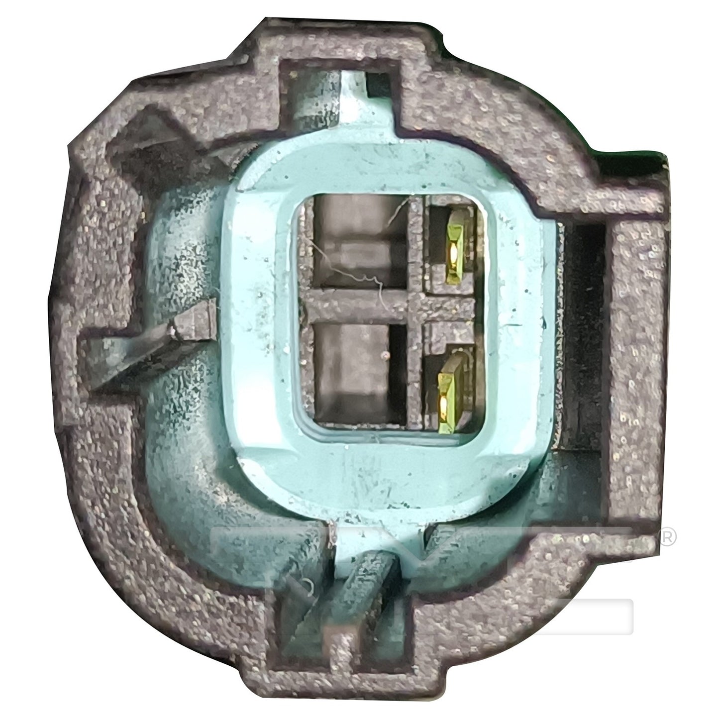 TYC 625560 image 3