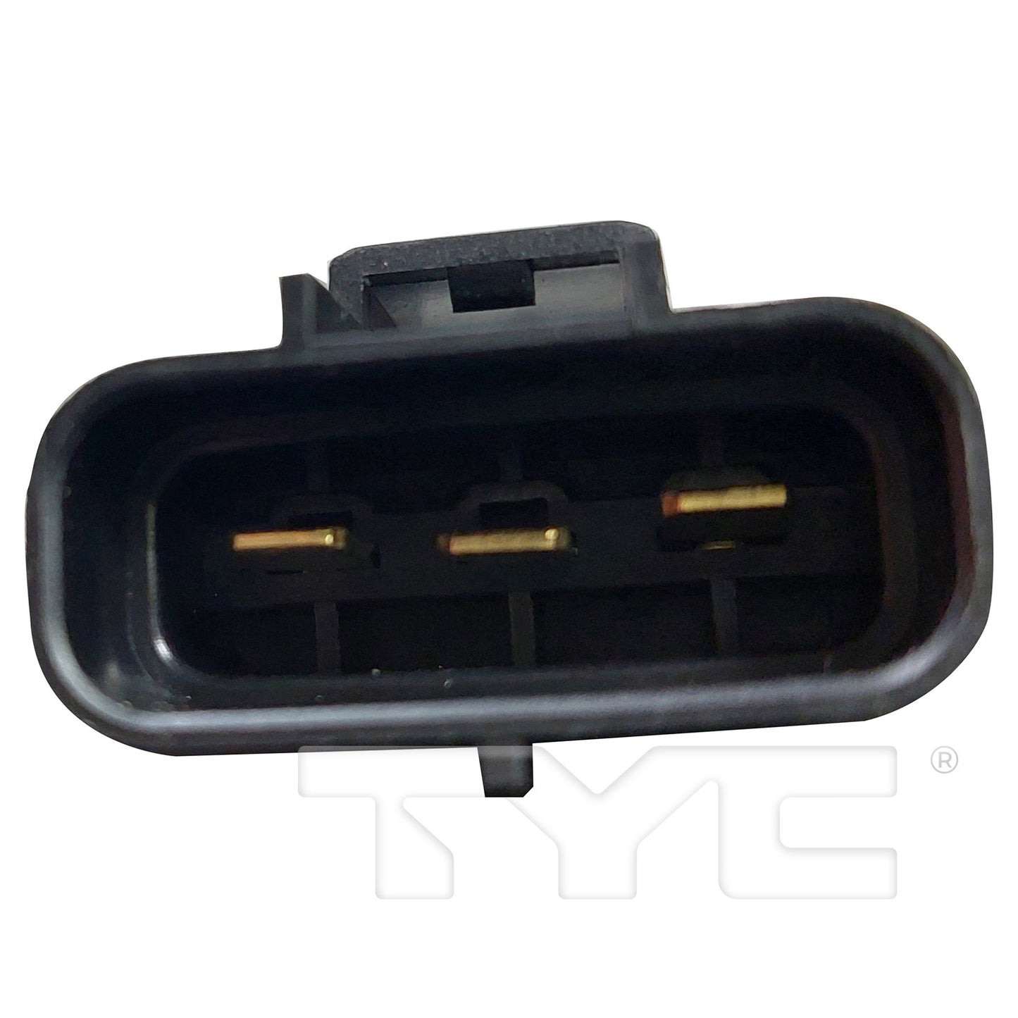 TYC 625600 image 2
