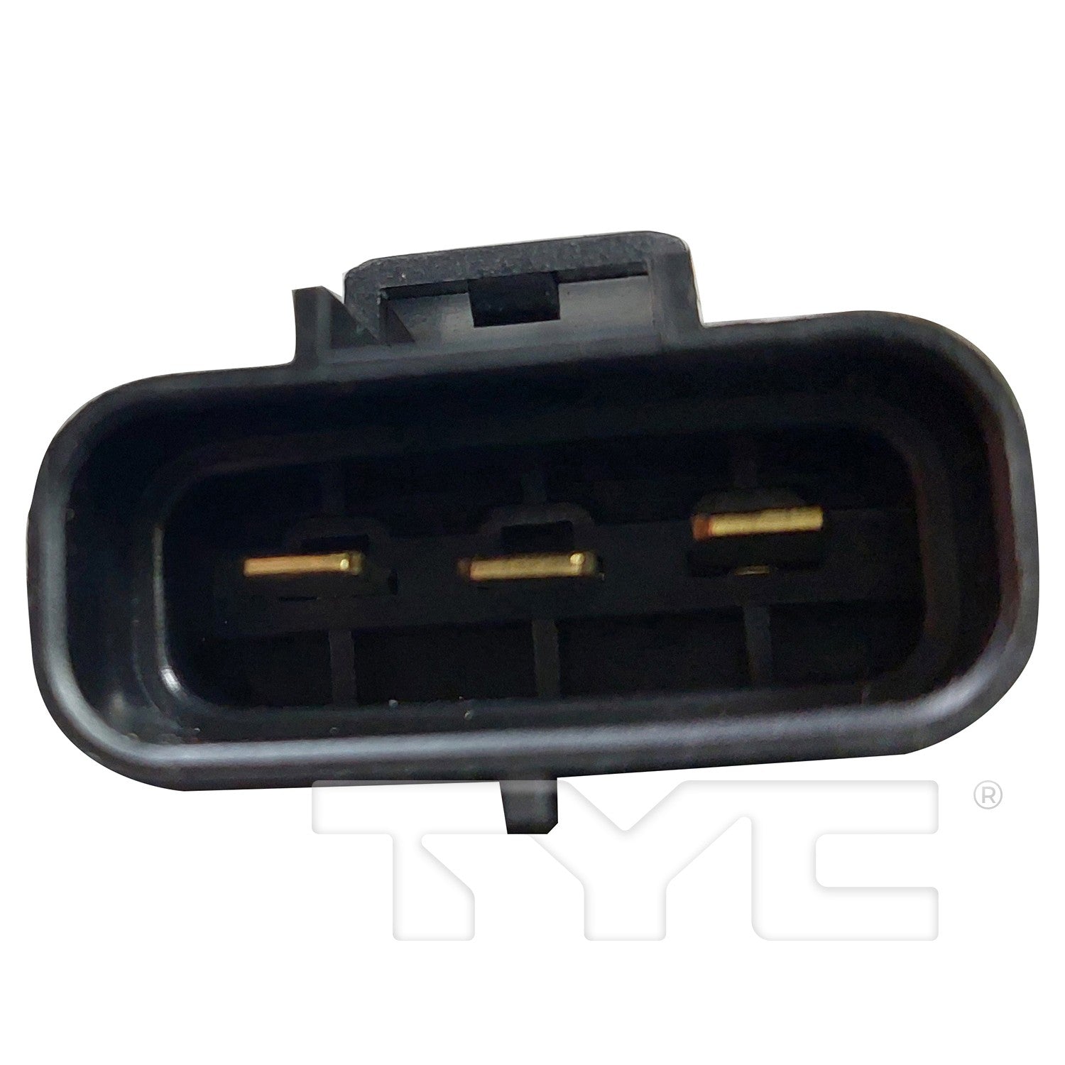 TYC 625600 image 2