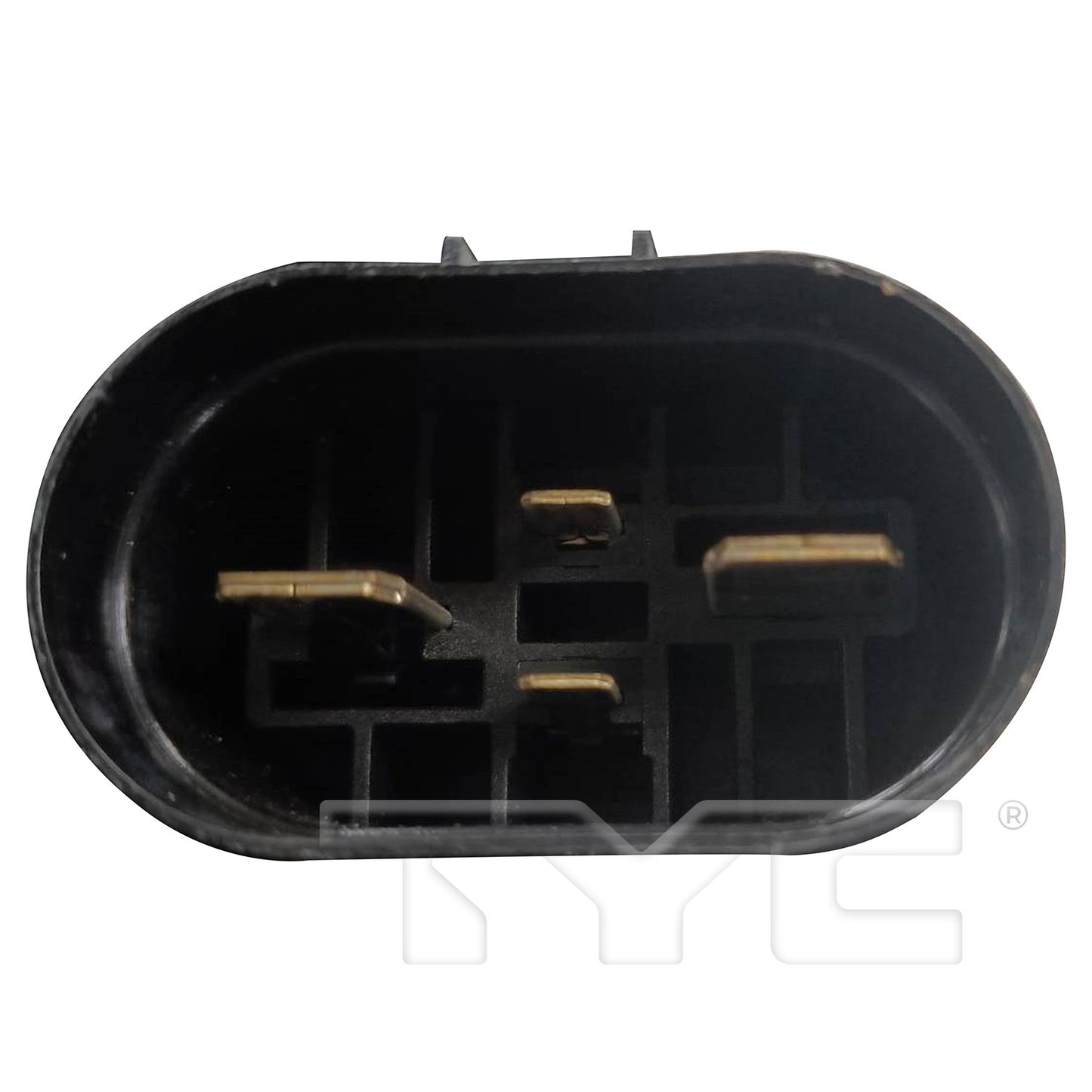 TYC 625610 image 2